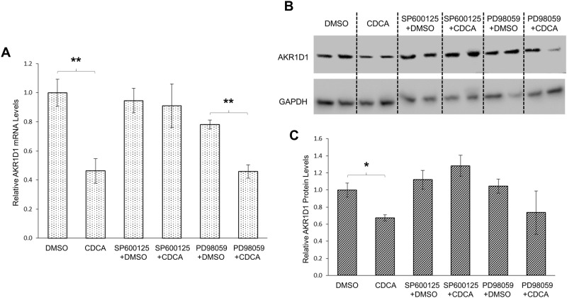 Fig 10