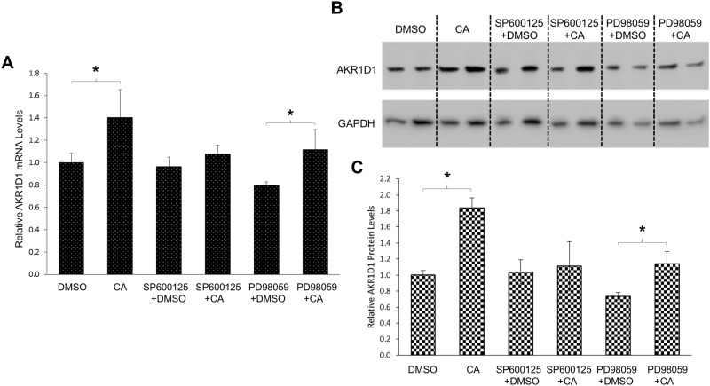 Fig 11