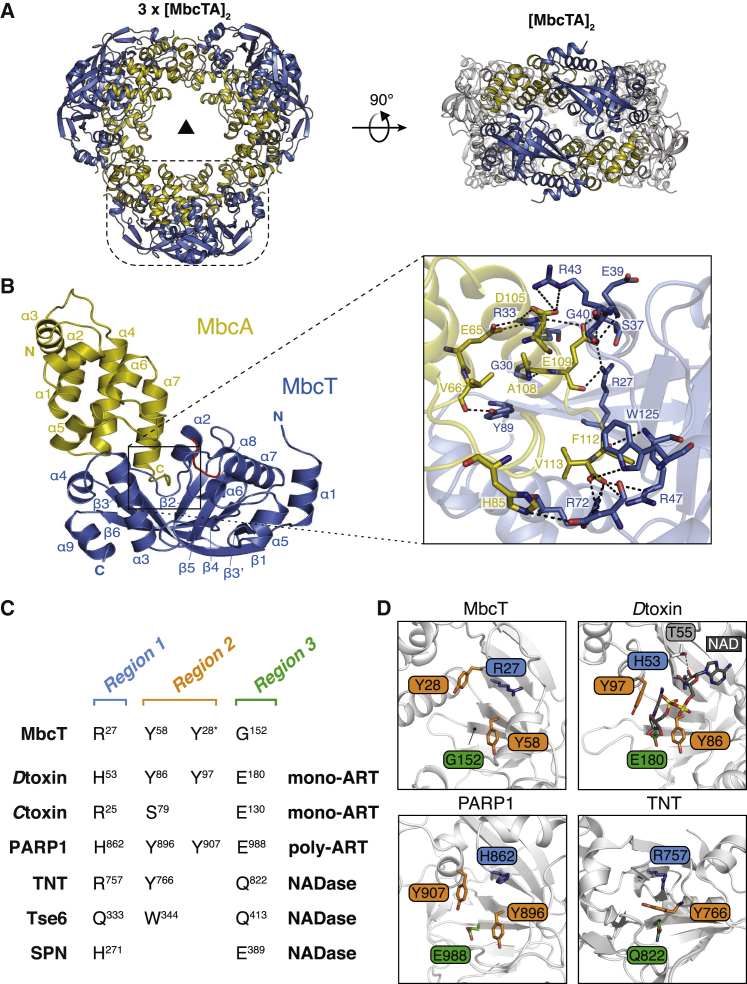 Figure 2