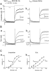 Fig. 9.