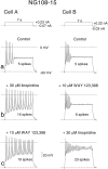 Fig. 13.