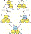 Fig. 2.