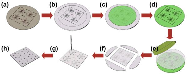 Fig. 1