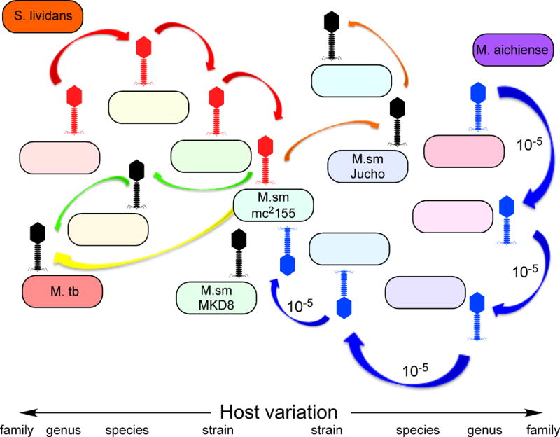 FIGURE 4