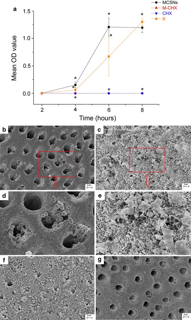 Fig. 8