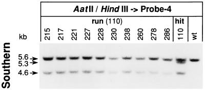 FIG. 5