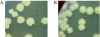 FIG. 3.