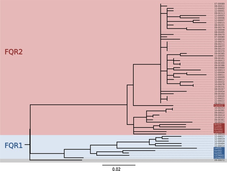 Fig 1