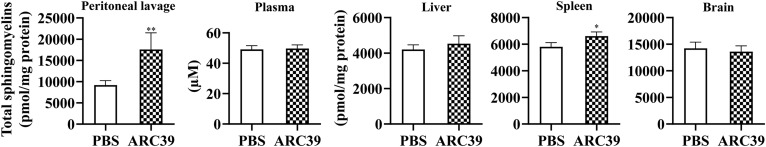 Fig. 8.