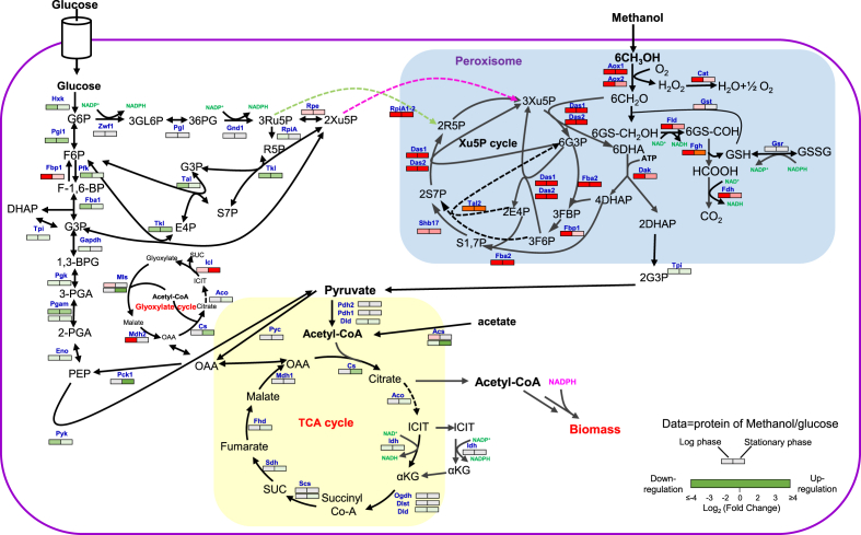 Fig. 3