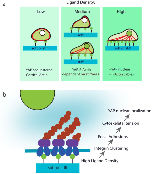 Figure 6: