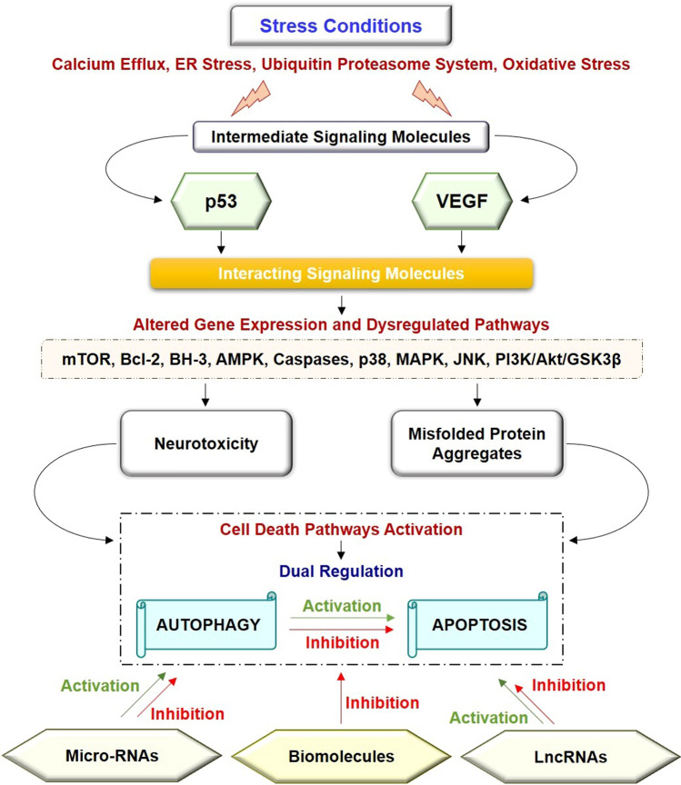 graphic file with name 18_2021_4004_Figa_HTML.jpg