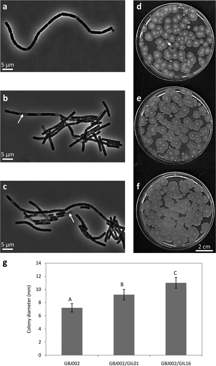 FIG 1