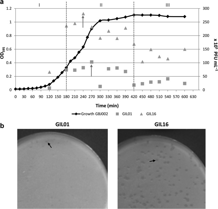 FIG 3