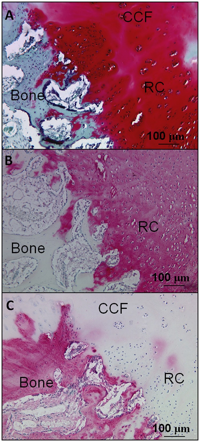 Figure 6.