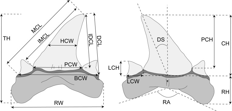 Fig 1