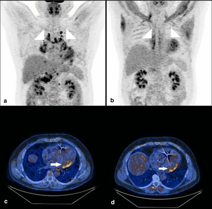 Fig. 4