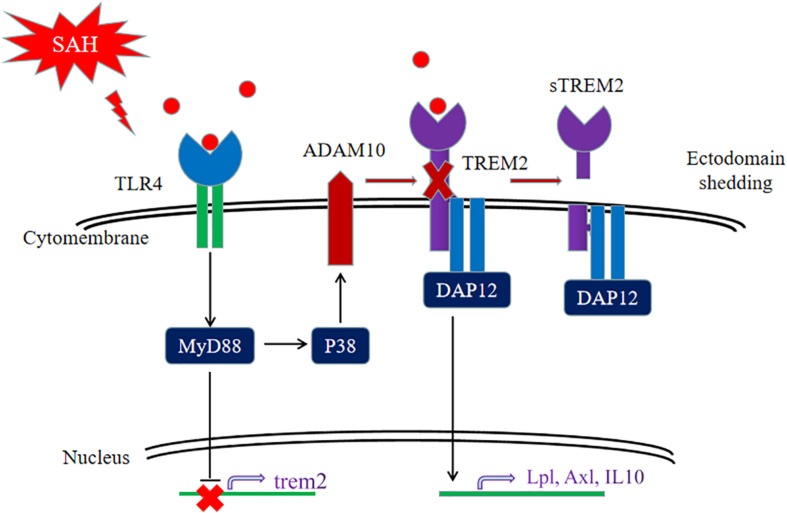 FIGURE 11