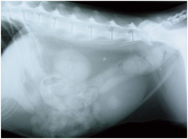 Figure 12