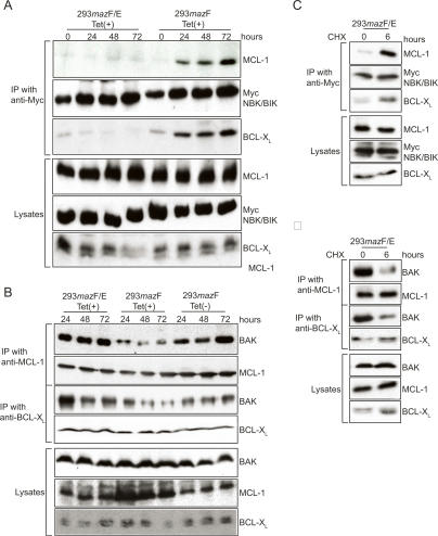 Figure 6.