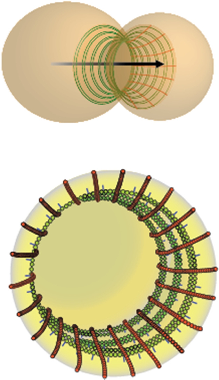 FIGURE 6: