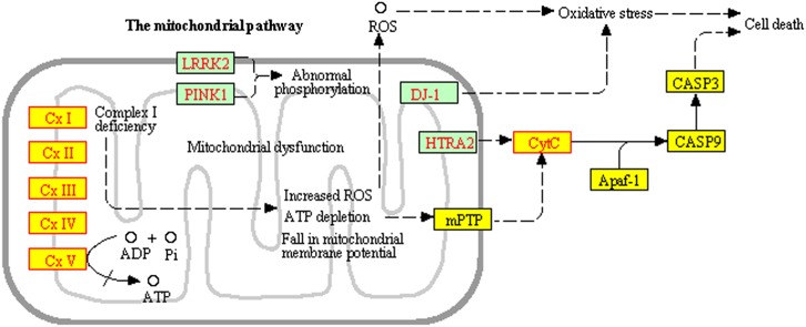 Figure 5.