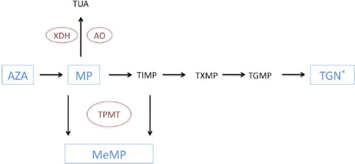 Figure 1.