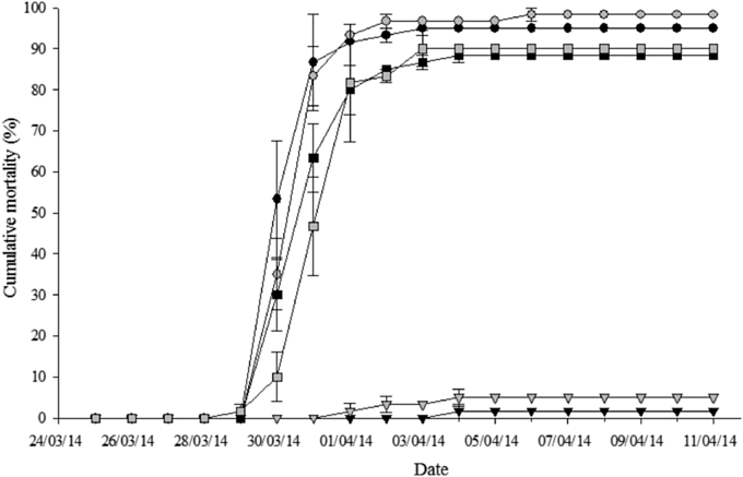 Fig. 4