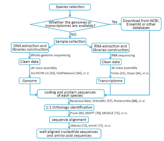 Fig. (1)