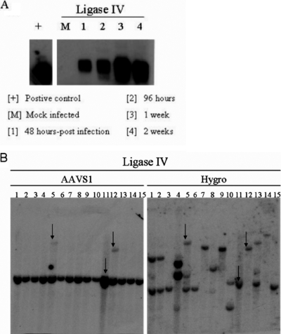 FIG. 6.