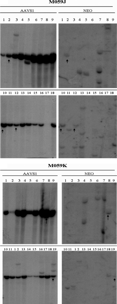 FIG. 5.