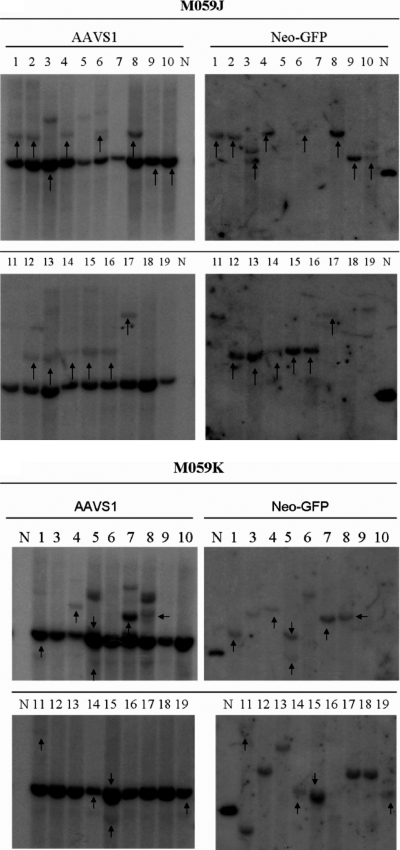 FIG. 4.