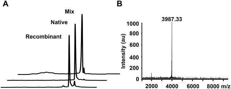 Fig 5