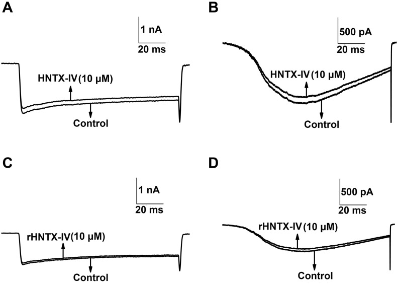 Fig 8