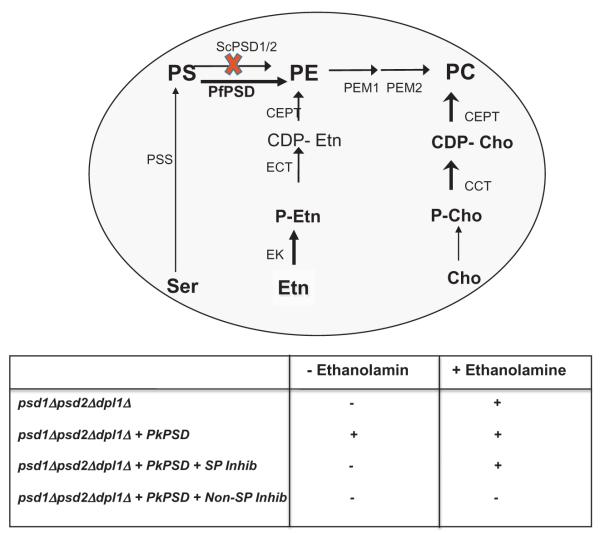 Fig. 9