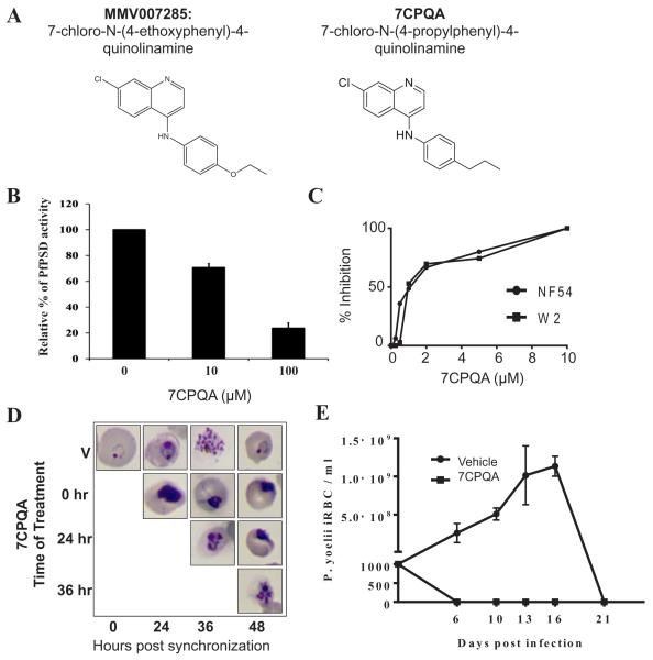 Fig. 11