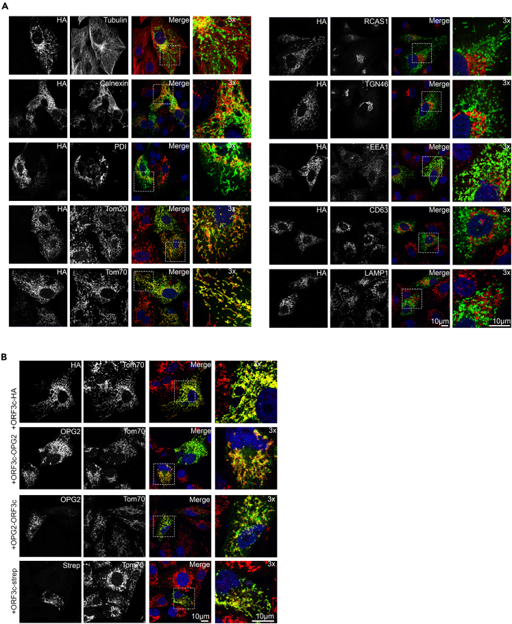 Figure 3