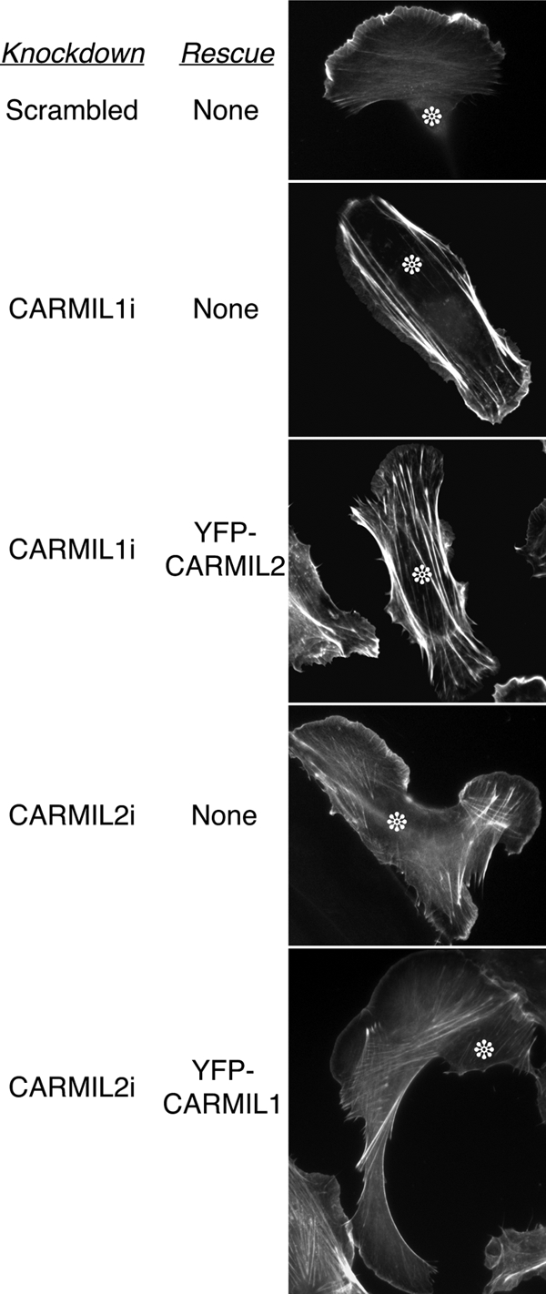 Figure 10.