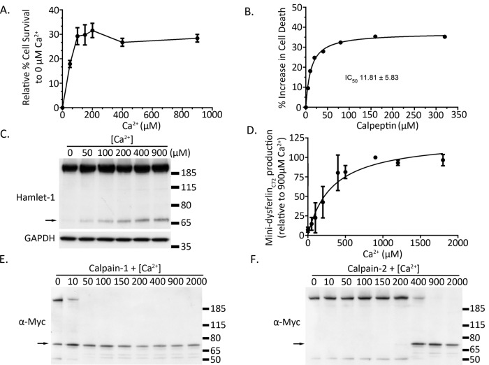 FIGURE 6: