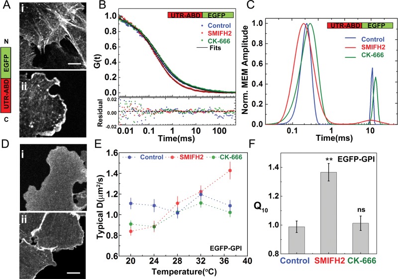 FIGURE 6: