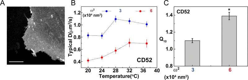 FIGURE 7: