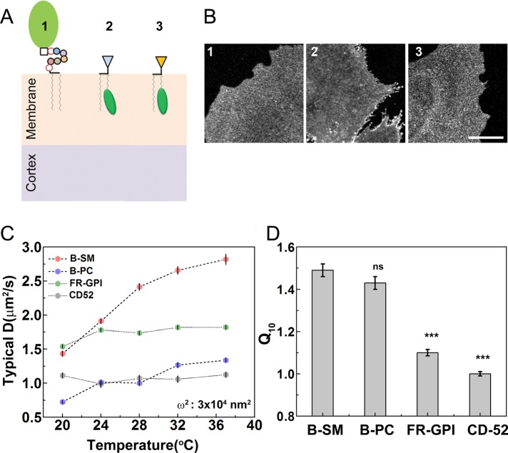 FIGURE 1: