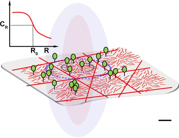 FIGURE 8: