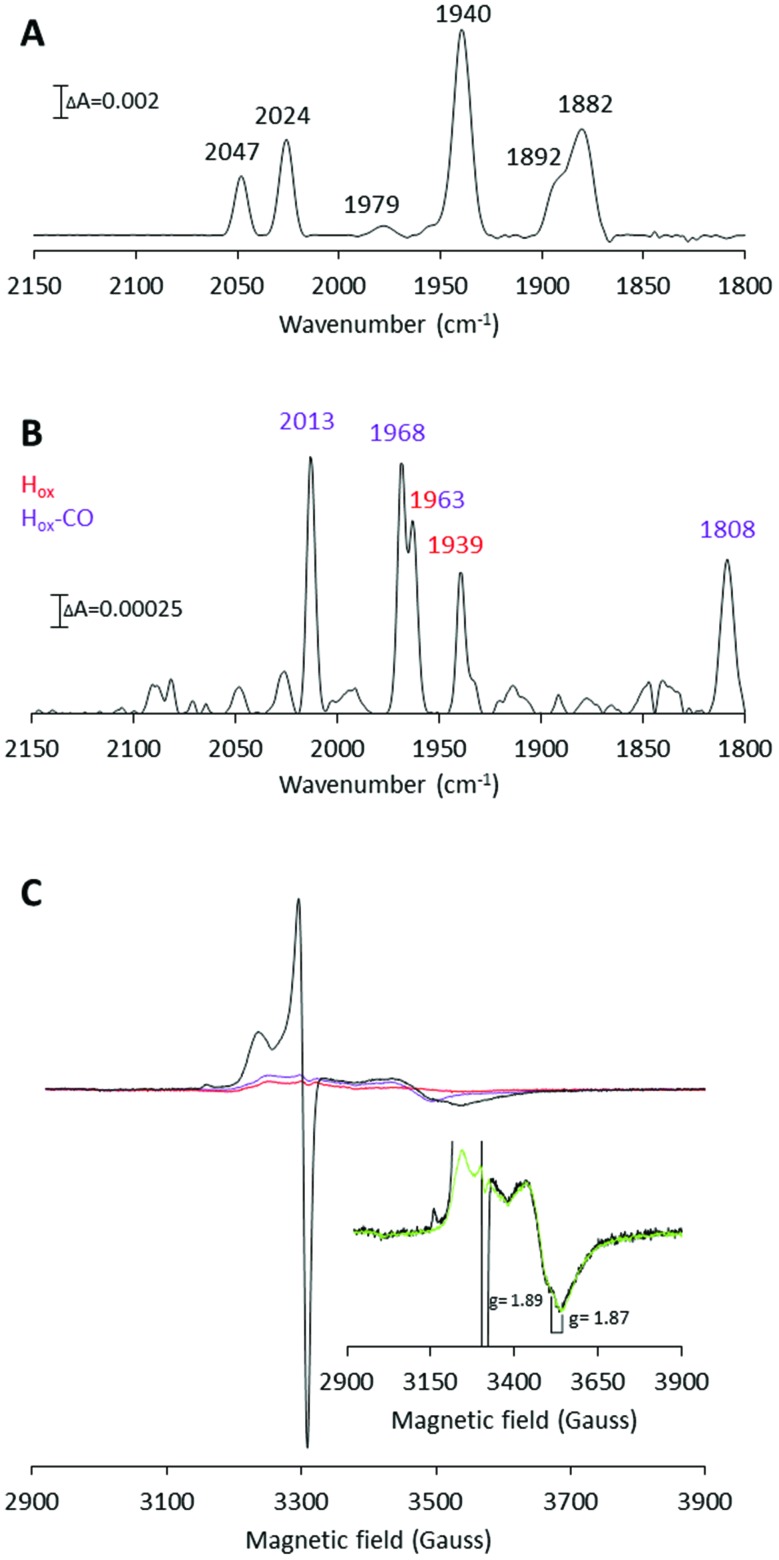 Fig. 4