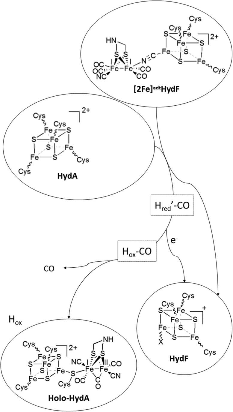 Scheme 1