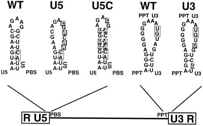 FIG. 7