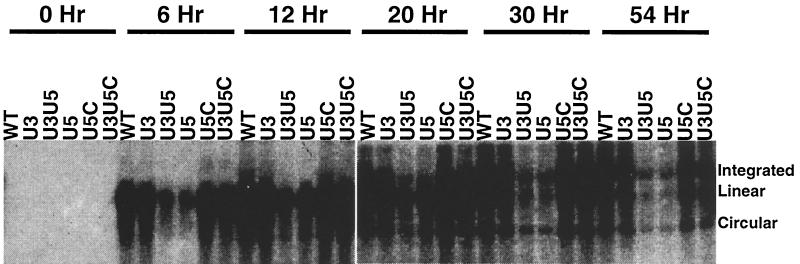 FIG. 9