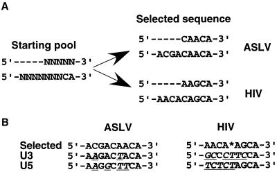 FIG. 10