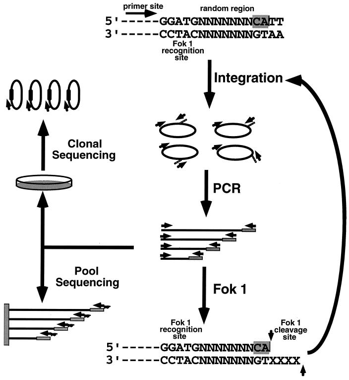 FIG. 1