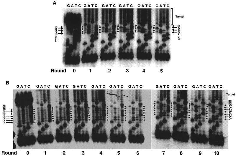 FIG. 4